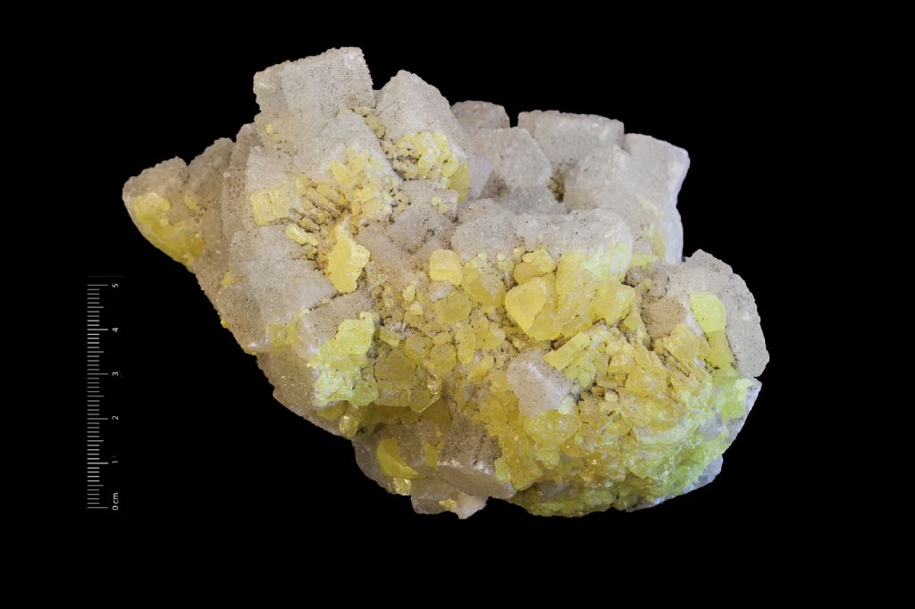 Zolfo (esemplare)
