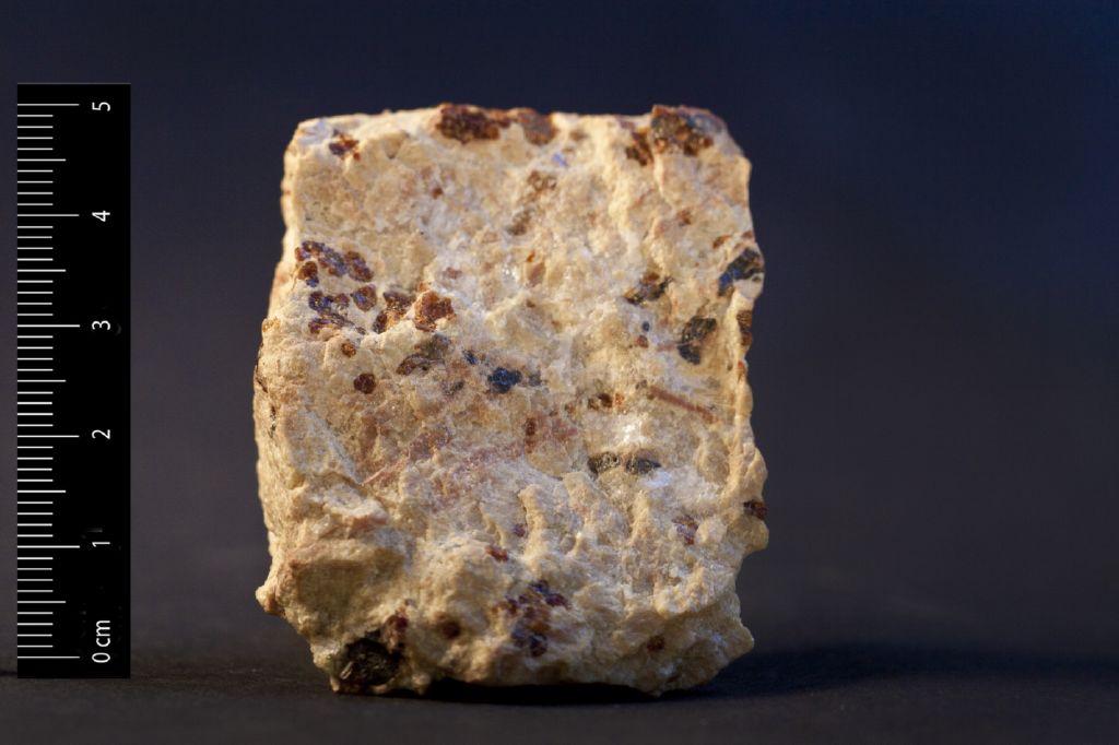 Nasonite (esemplare)