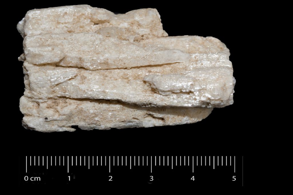 Malacolite (esemplare)