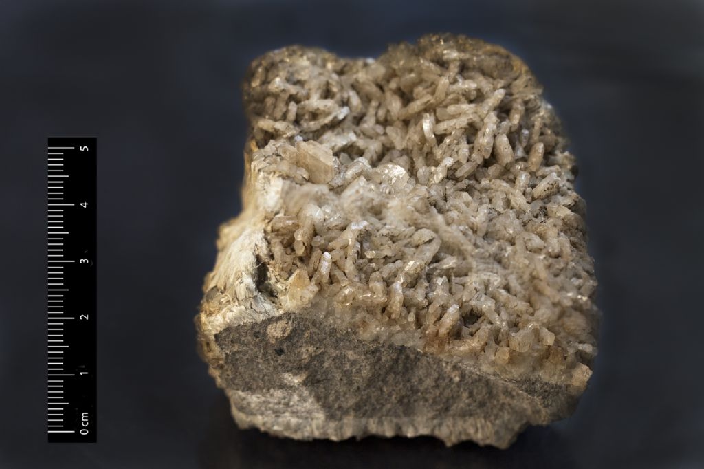 Albite (esemplare)