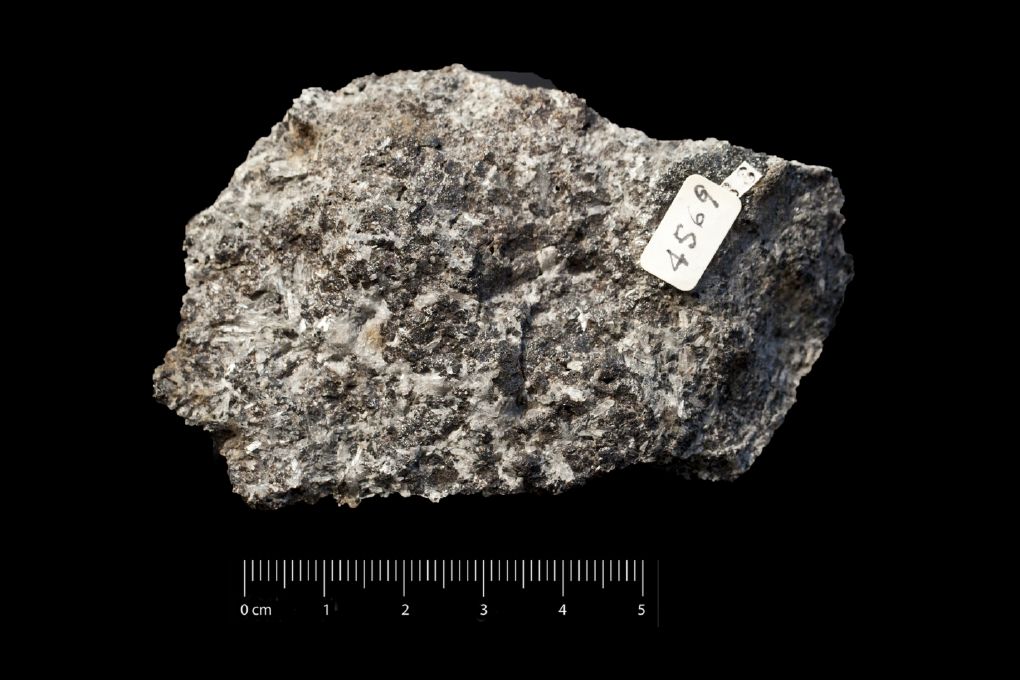 Wollastonite (esemplare)