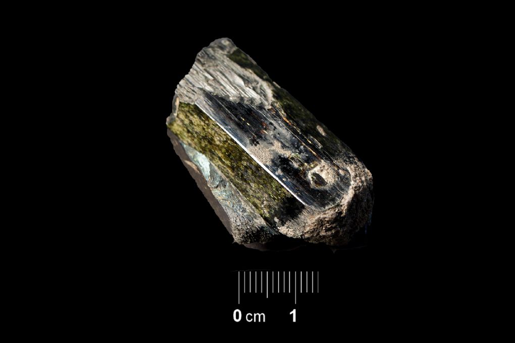 Egirina (esemplare)