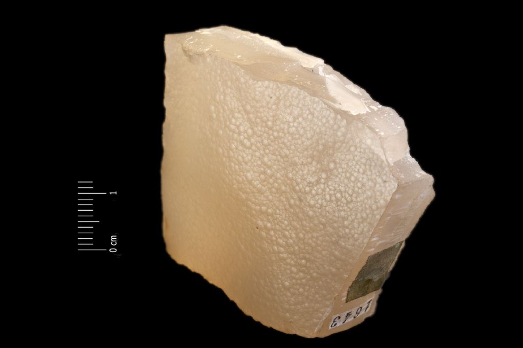 Agata (esemplare)
