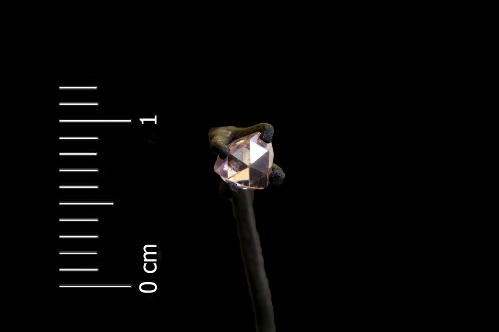 Diamante (esemplare)