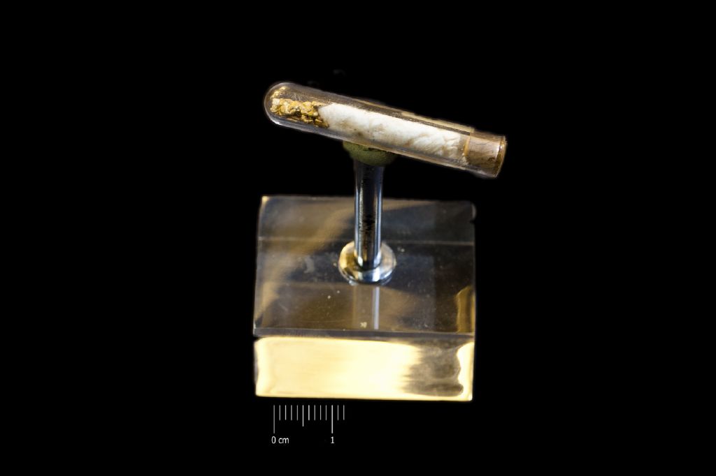 Oro (esemplare)