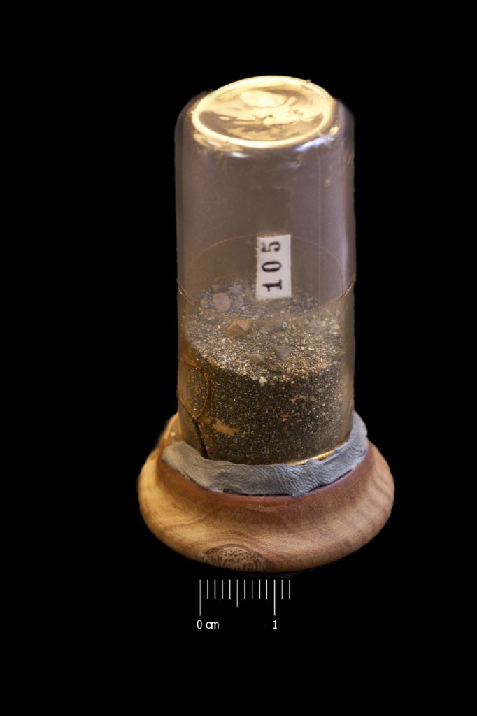 Oro (esemplare)