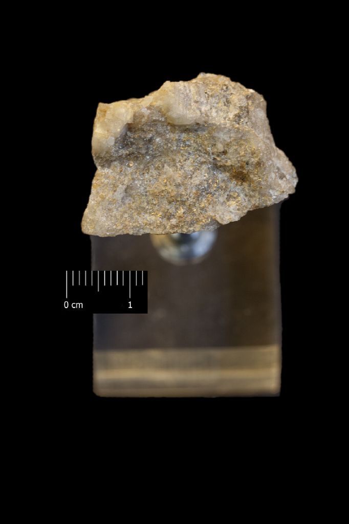 Oro (esemplare)