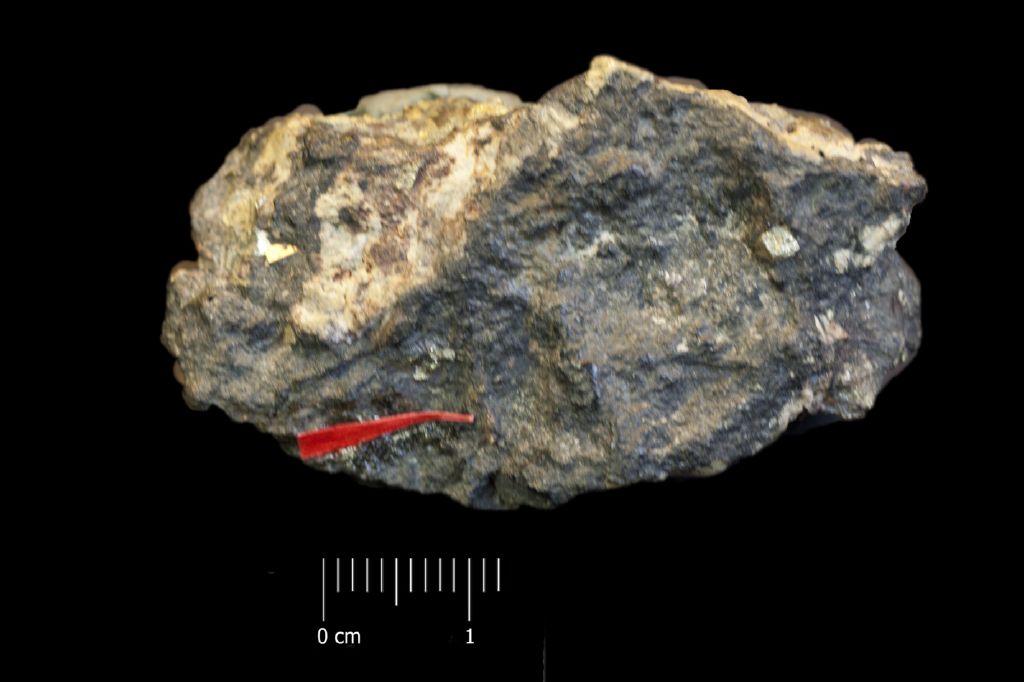 Oro (esemplare)