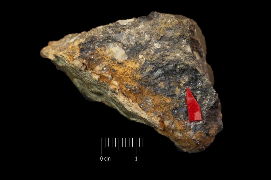 Oro (esemplare)