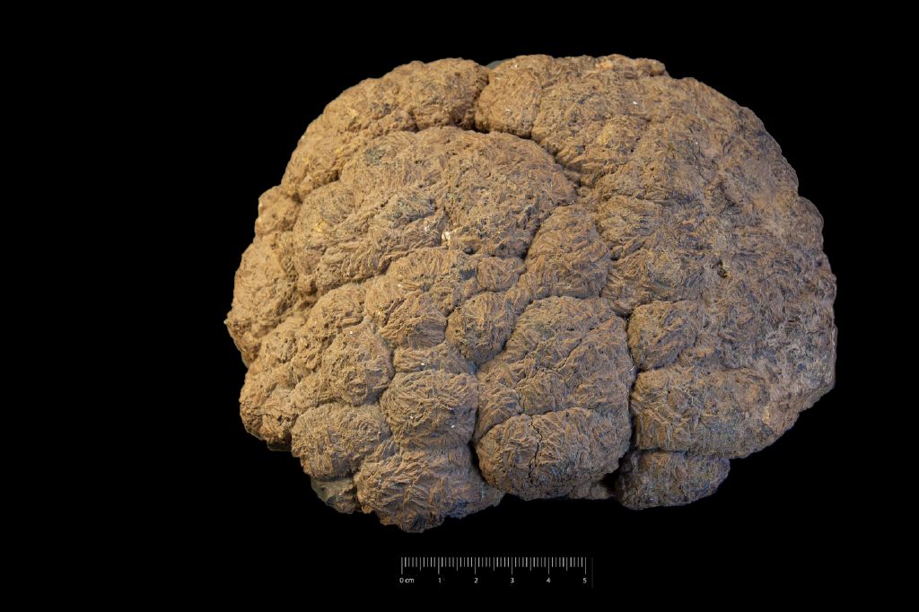 Limonite (esemplare)