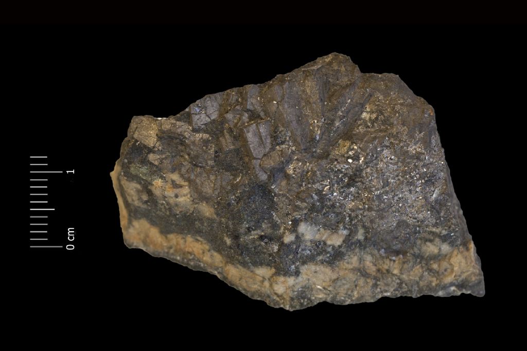 Cloantite (esemplare)