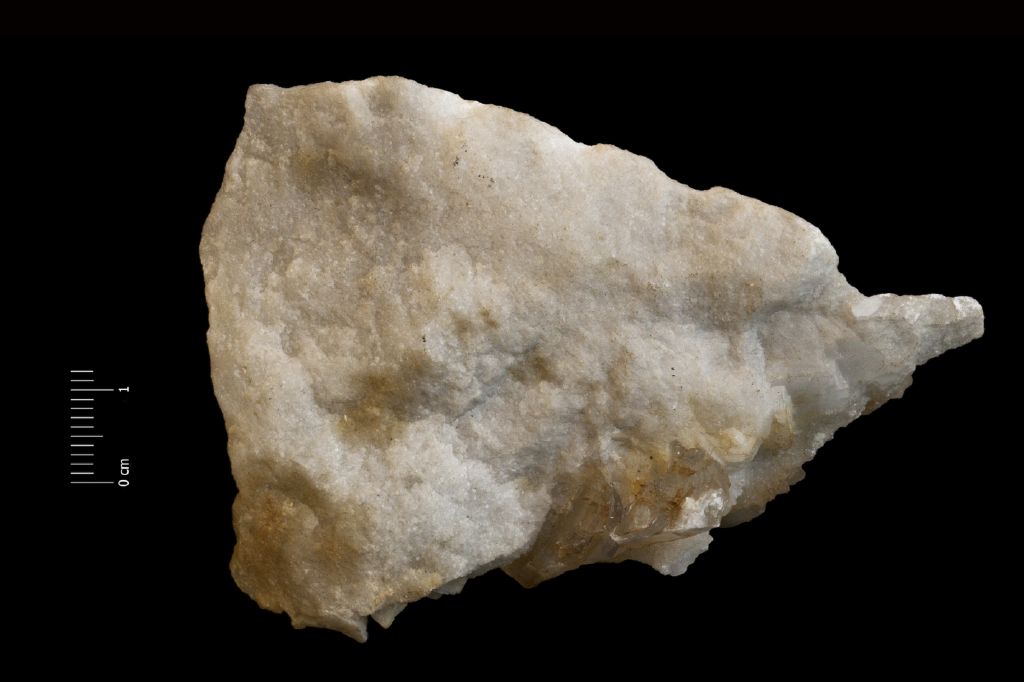Gesso (esemplare)