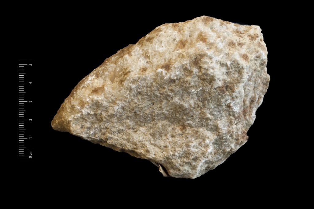 Gesso (esemplare)