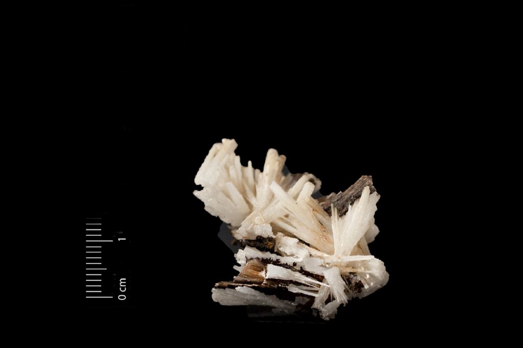 Cerussite (esemplare)