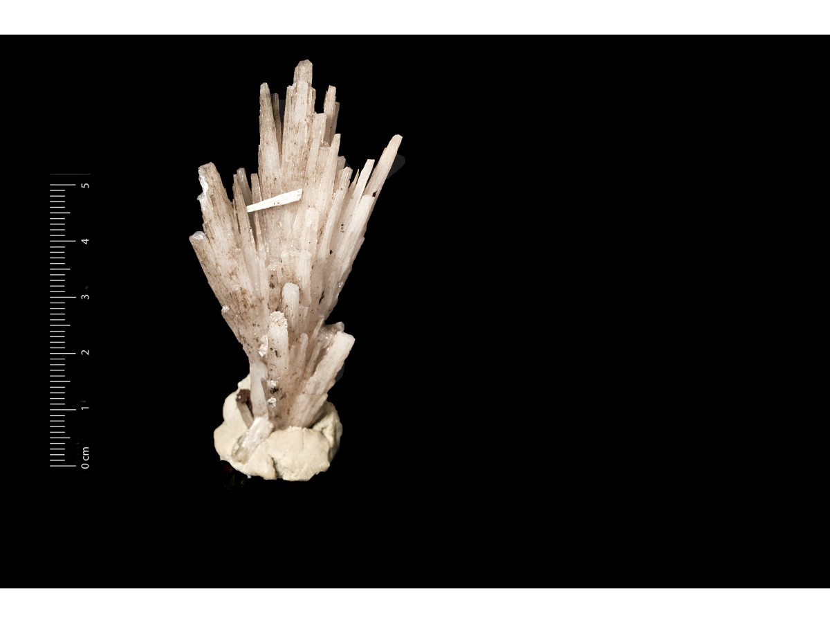 Cerussite (esemplare)