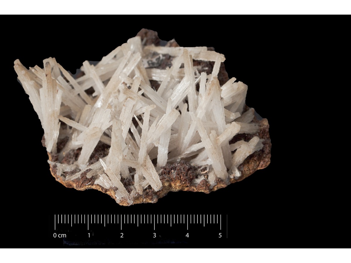 Cerussite (esemplare)