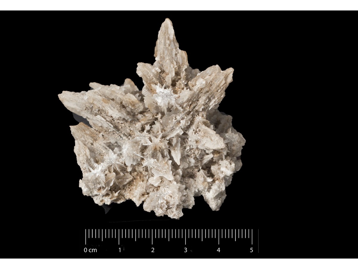 Cerussite (esemplare)