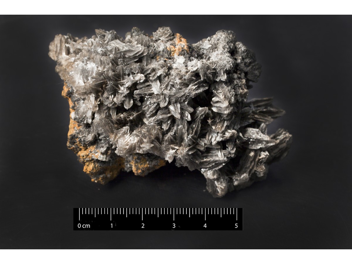 Cerussite (esemplare)