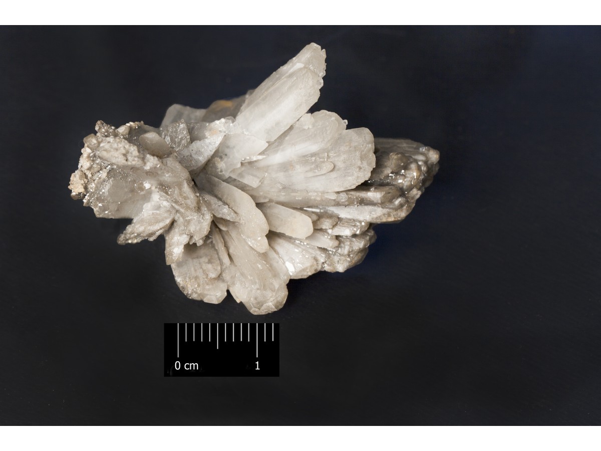 Cerussite (esemplare)