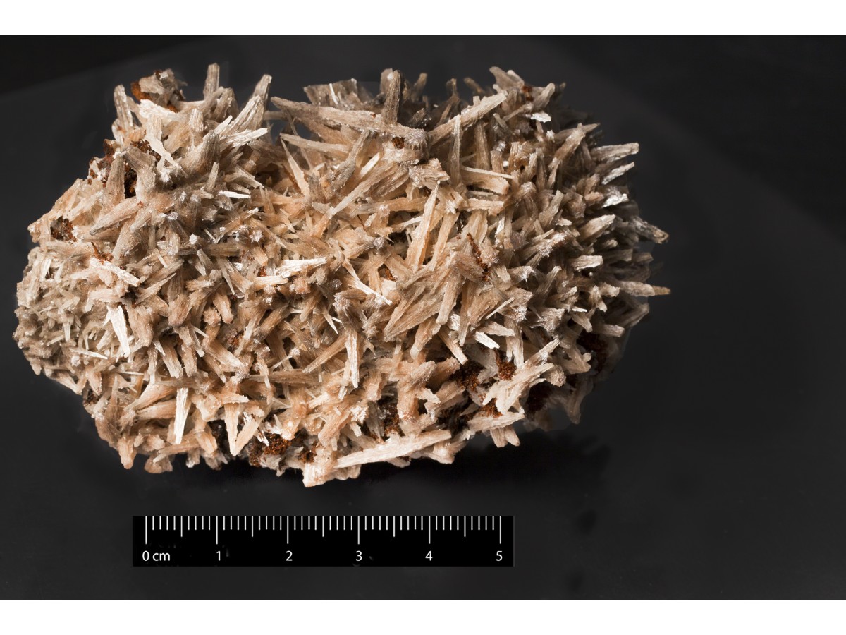 Cerussite (esemplare)