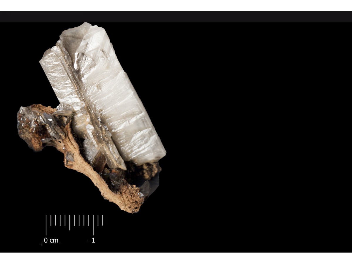 Cerussite (esemplare)