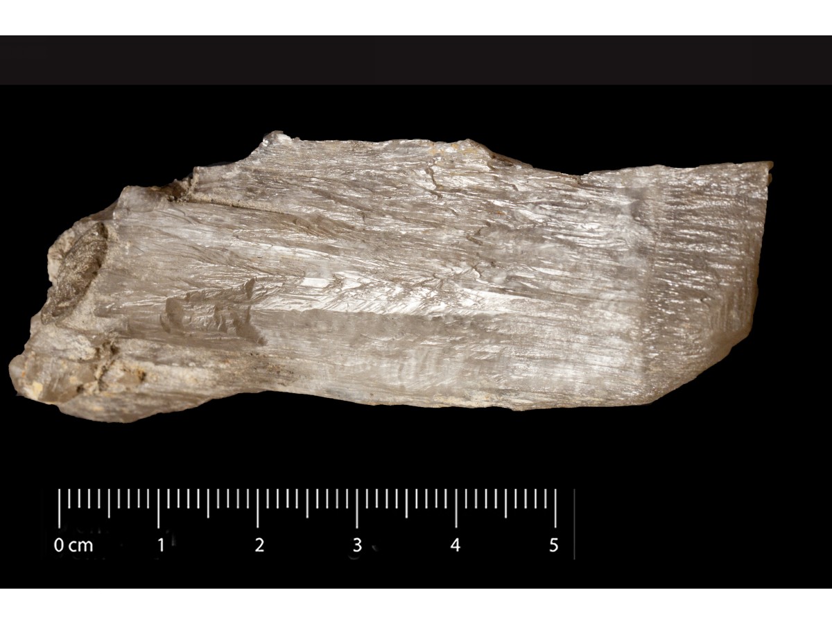 Cerussite (esemplare)