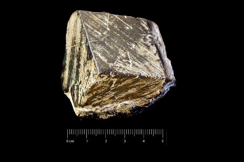 Magnetite (esemplare)