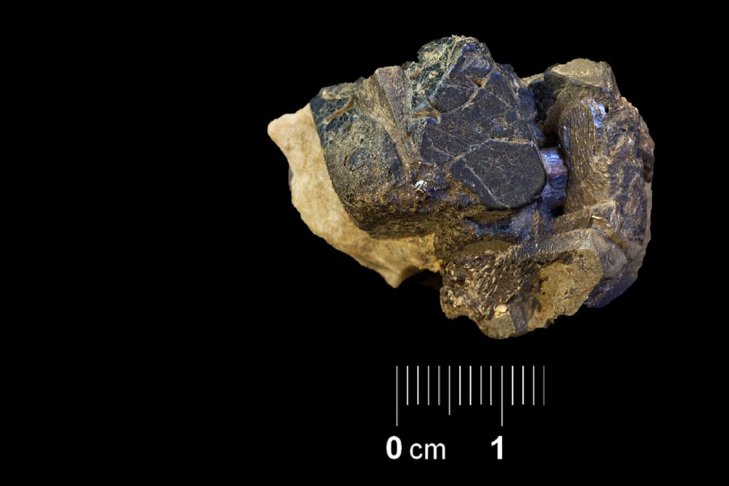 Magnetite (esemplare)