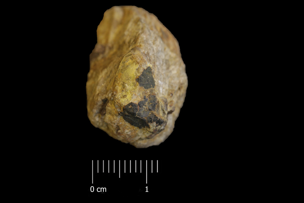Cleveite (esemplare)