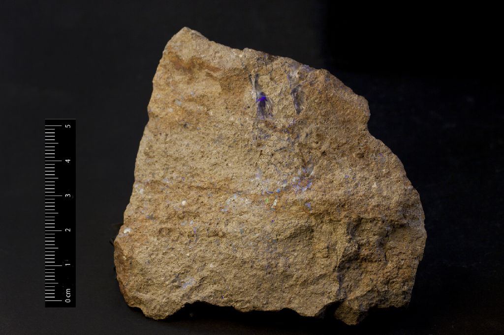Opale (esemplare)