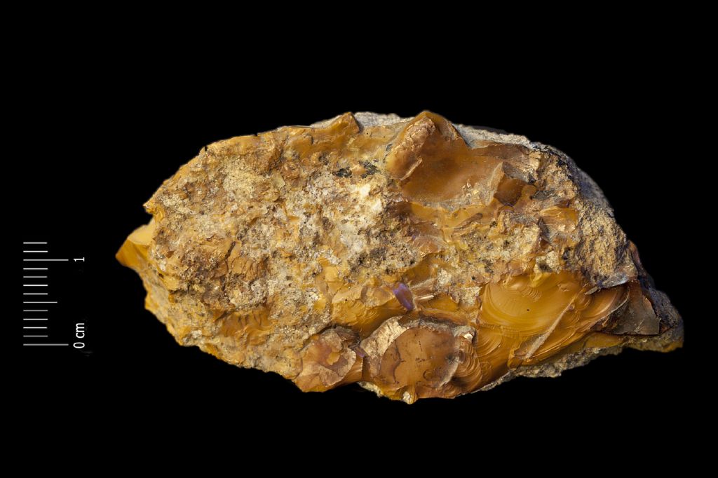 Opale (esemplare)