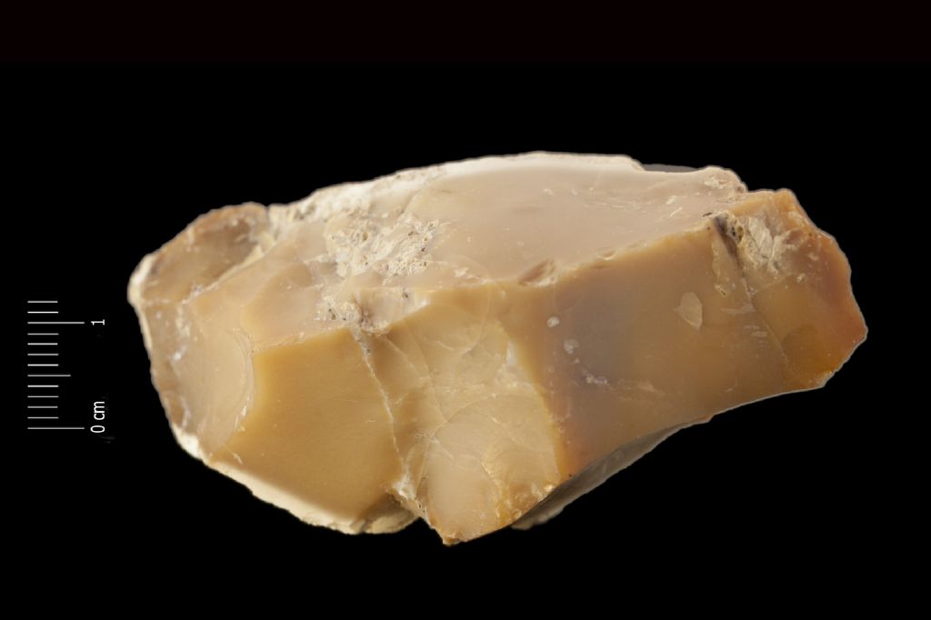 Opale (esemplare)