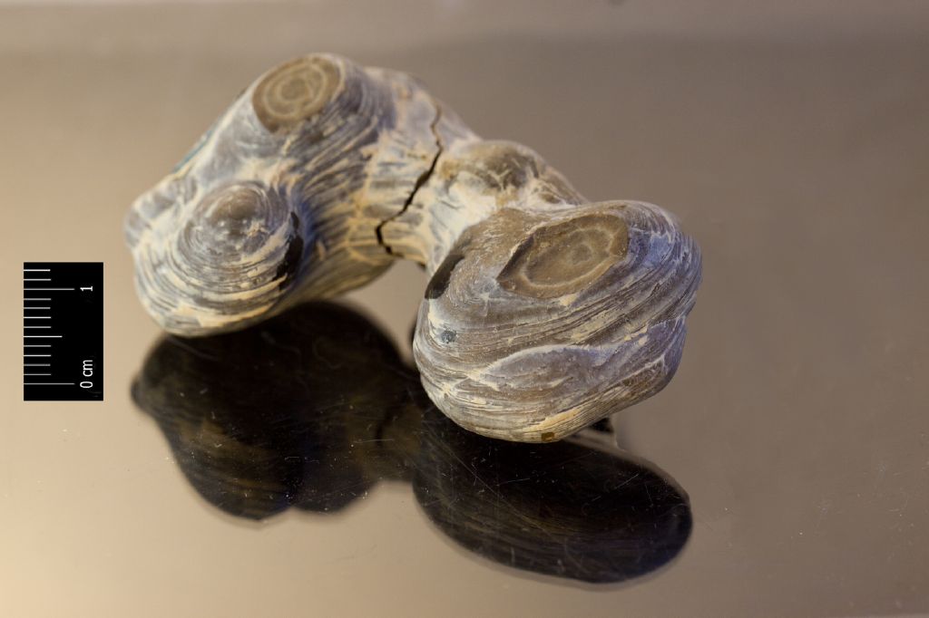 Menilite (esemplare)