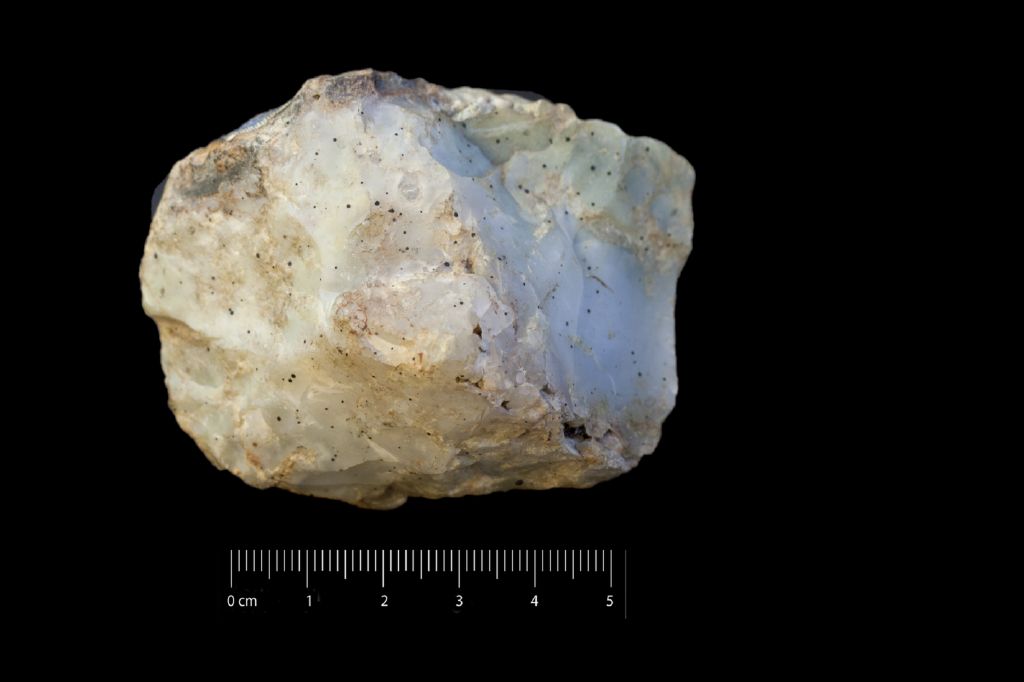 Opale (esemplare)