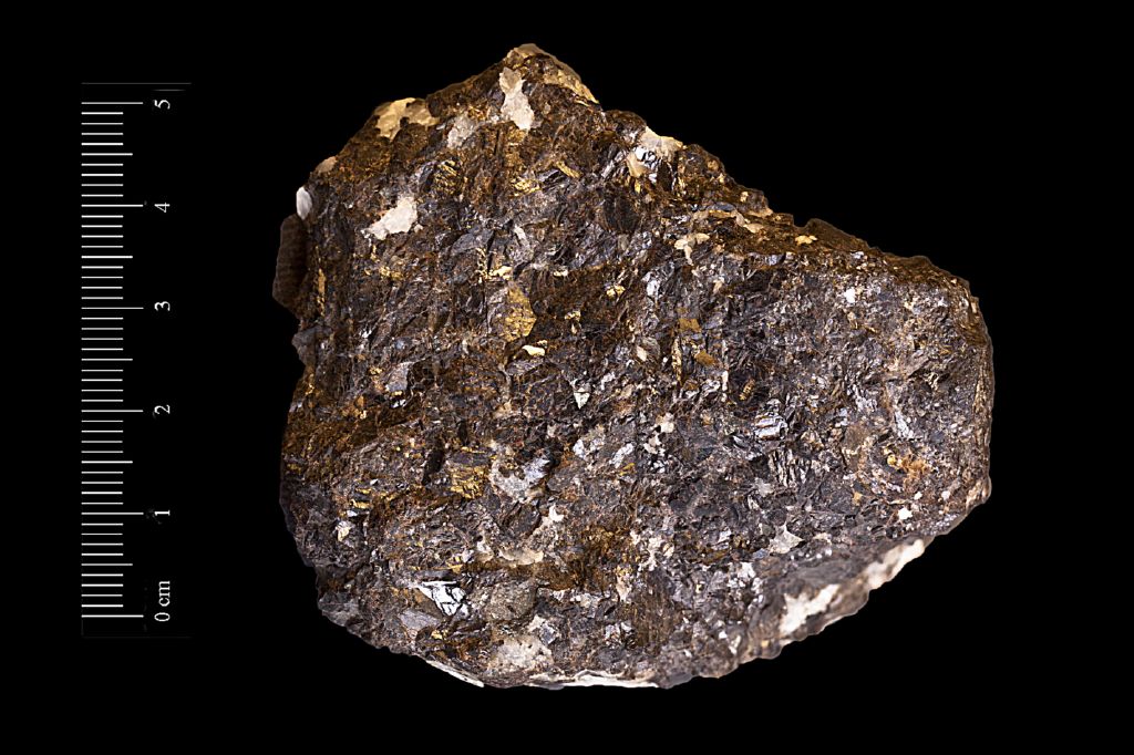 Blenda (esemplare)