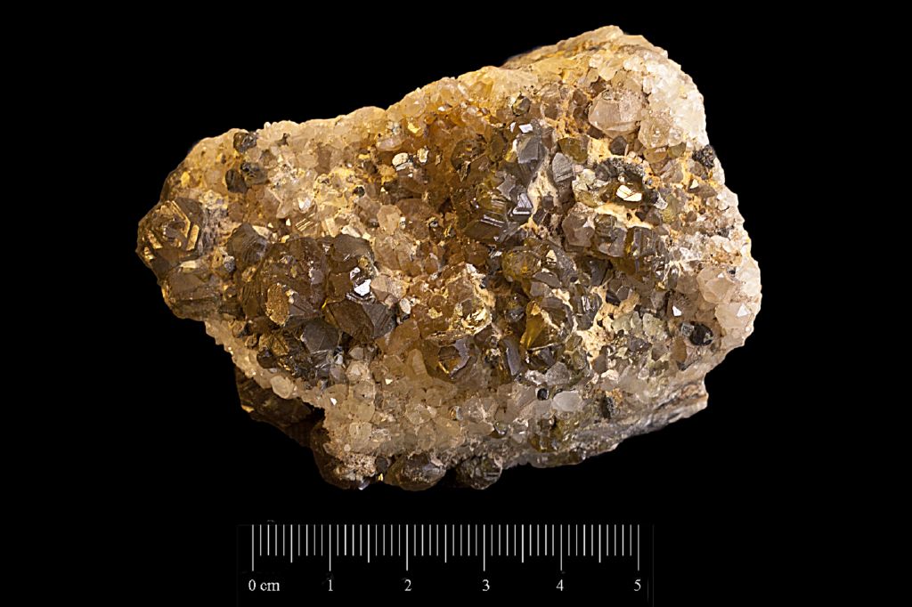 Blenda (esemplare)