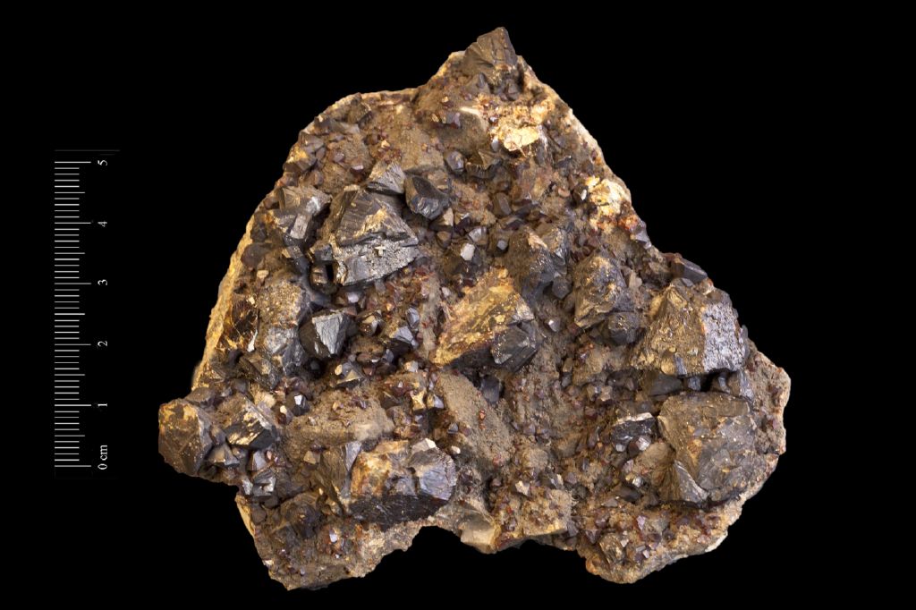 Blenda (esemplare)