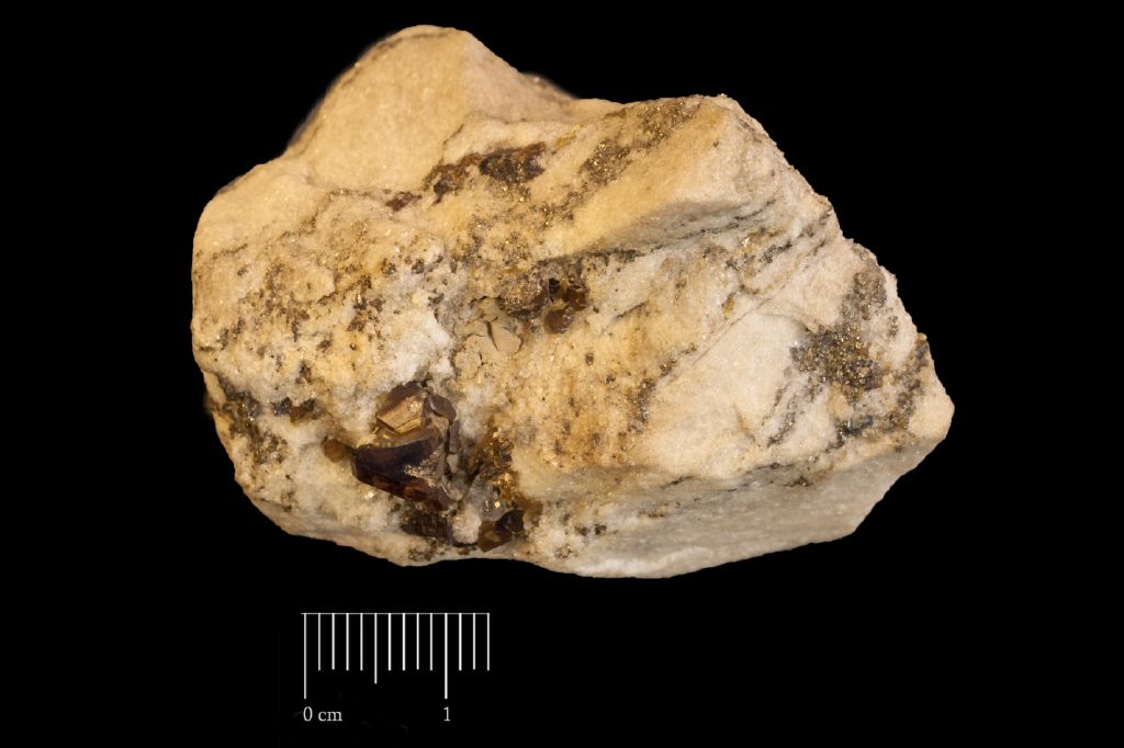 Blenda (esemplare)