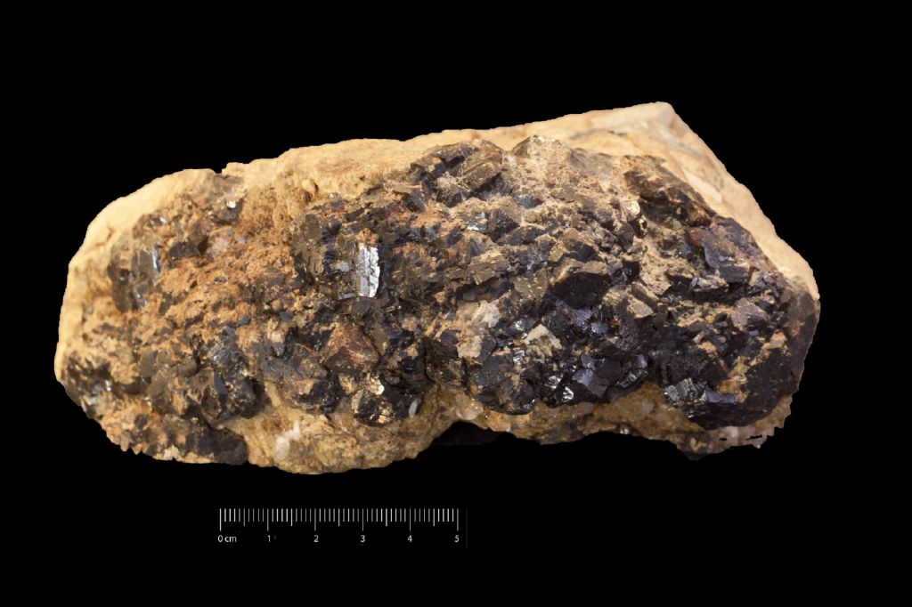 Blenda (esemplare)