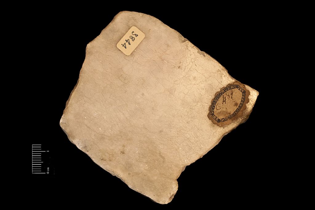Gesso (esemplare)