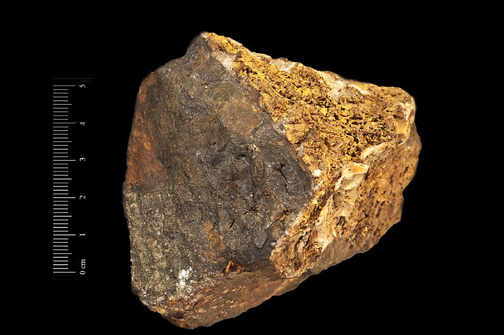 Reinite (esemplare)