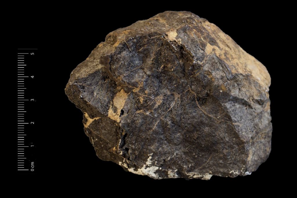 Ematite (esemplare)