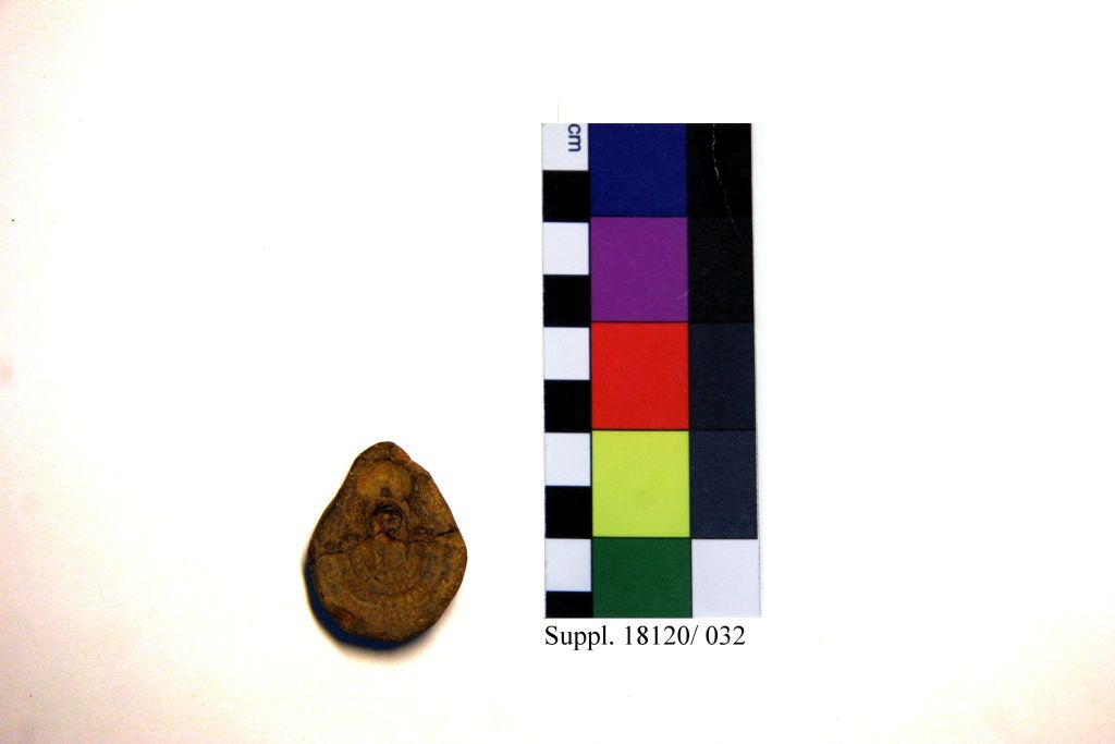 matrice monovalva (Nuovo Regno- Epoca Tarda, XVIII-XXXI dinastia)