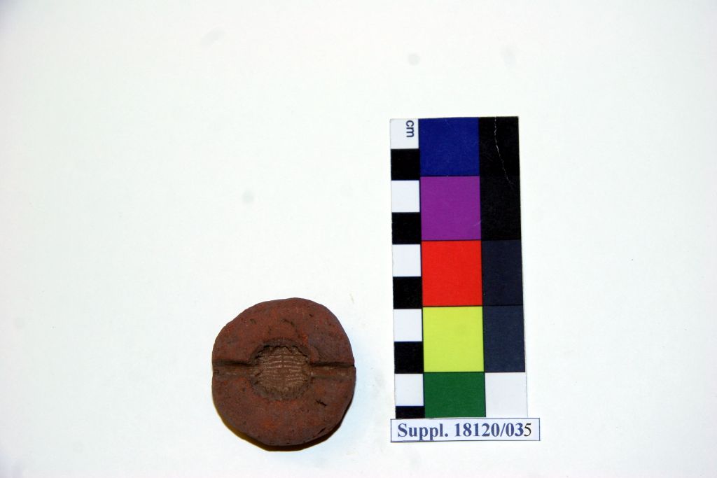 matrice monovalva (Nuovo Regno-T.P.I., XVIII-XXIV dinastia)