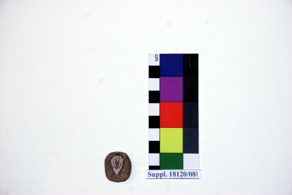 matrice monovalva (Nuovo Regno, XVIII-XX dinastia)