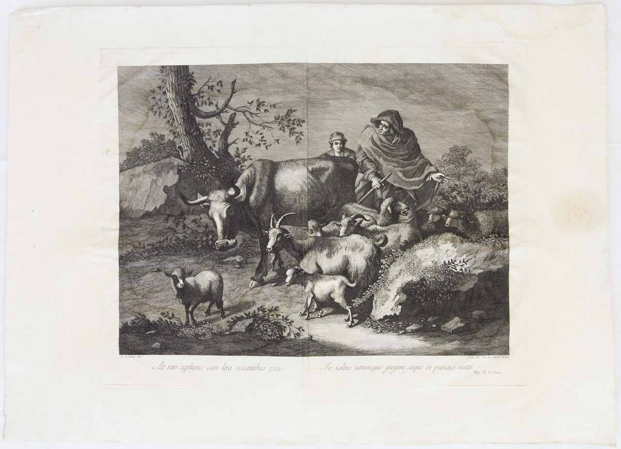 Scena pastorale (stampa, serie) di De Col Pellegrino - ambito veneto (secc. XVIII/ XIX)
