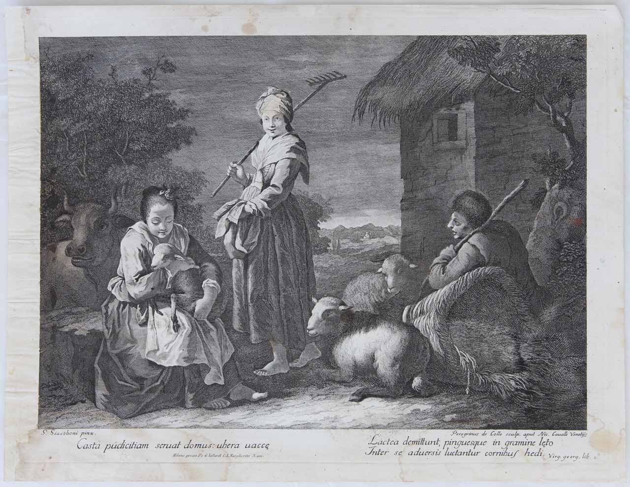 Scena pastorale (stampa, serie) di De Col Pellegrino - ambito veneto (secc. XVIII/ XIX)
