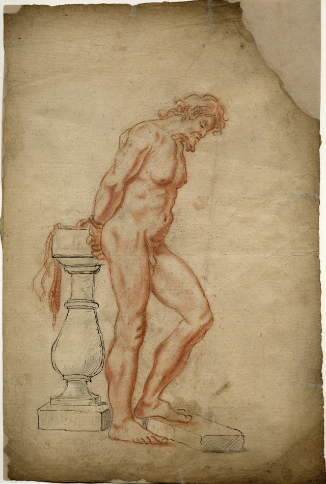Studio di nudo (disegno, opera isolata) di Brunetti Ciriaco (secondo quarto XVIII)