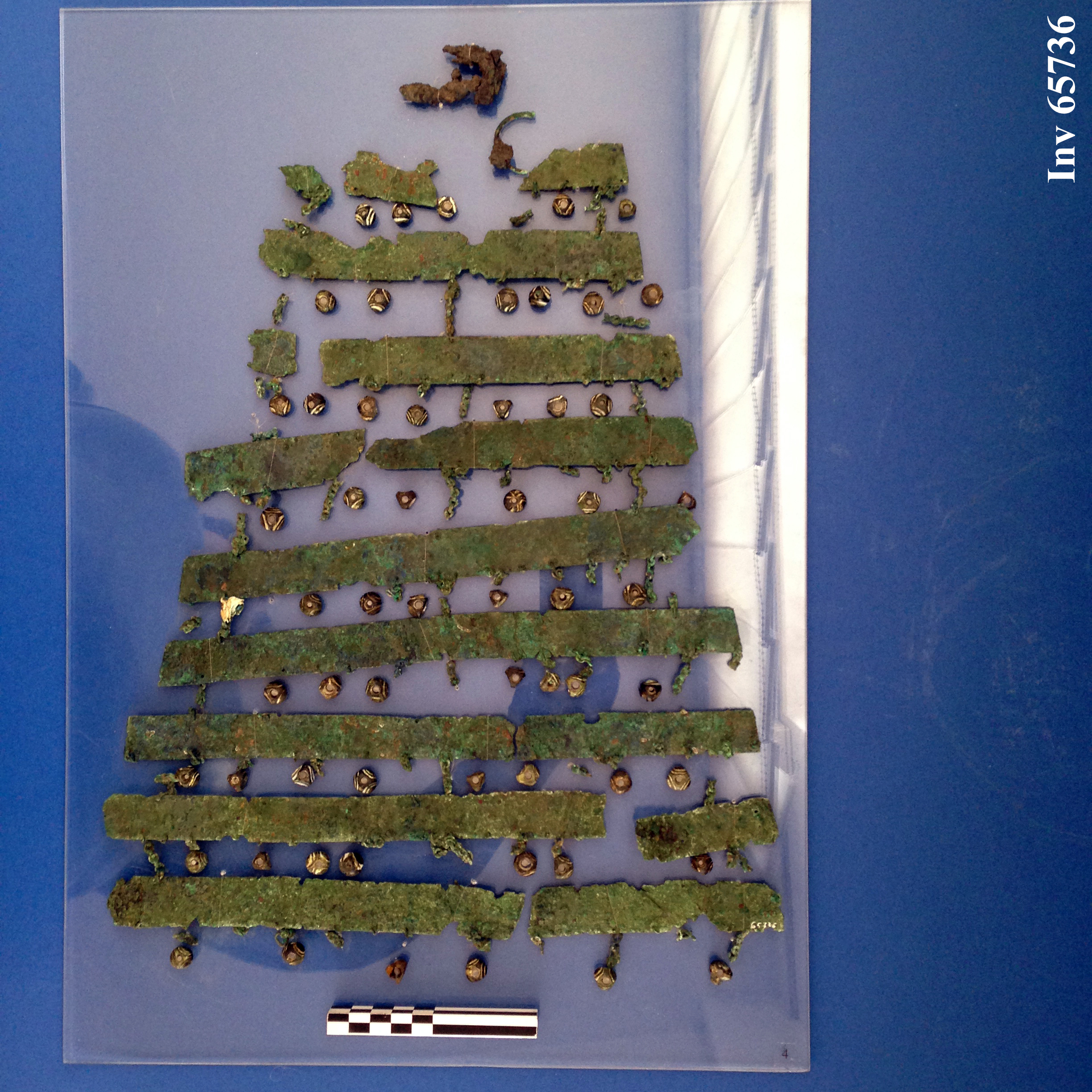 fibula, ad arco semplice, con pettorale-pendaglio (fine VI a.C)