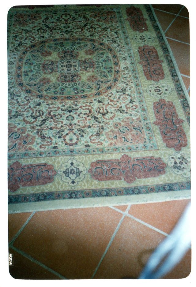 motivi decorativi (tappeto) - manifattura persiana (fine XIX)